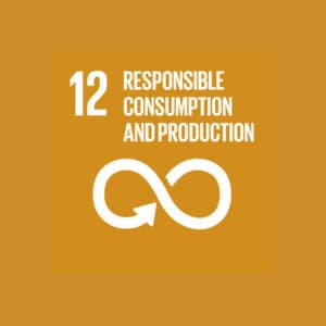 Responsible Consumption and Production
